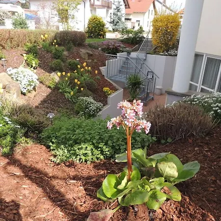Kalmitblick * Maikammer